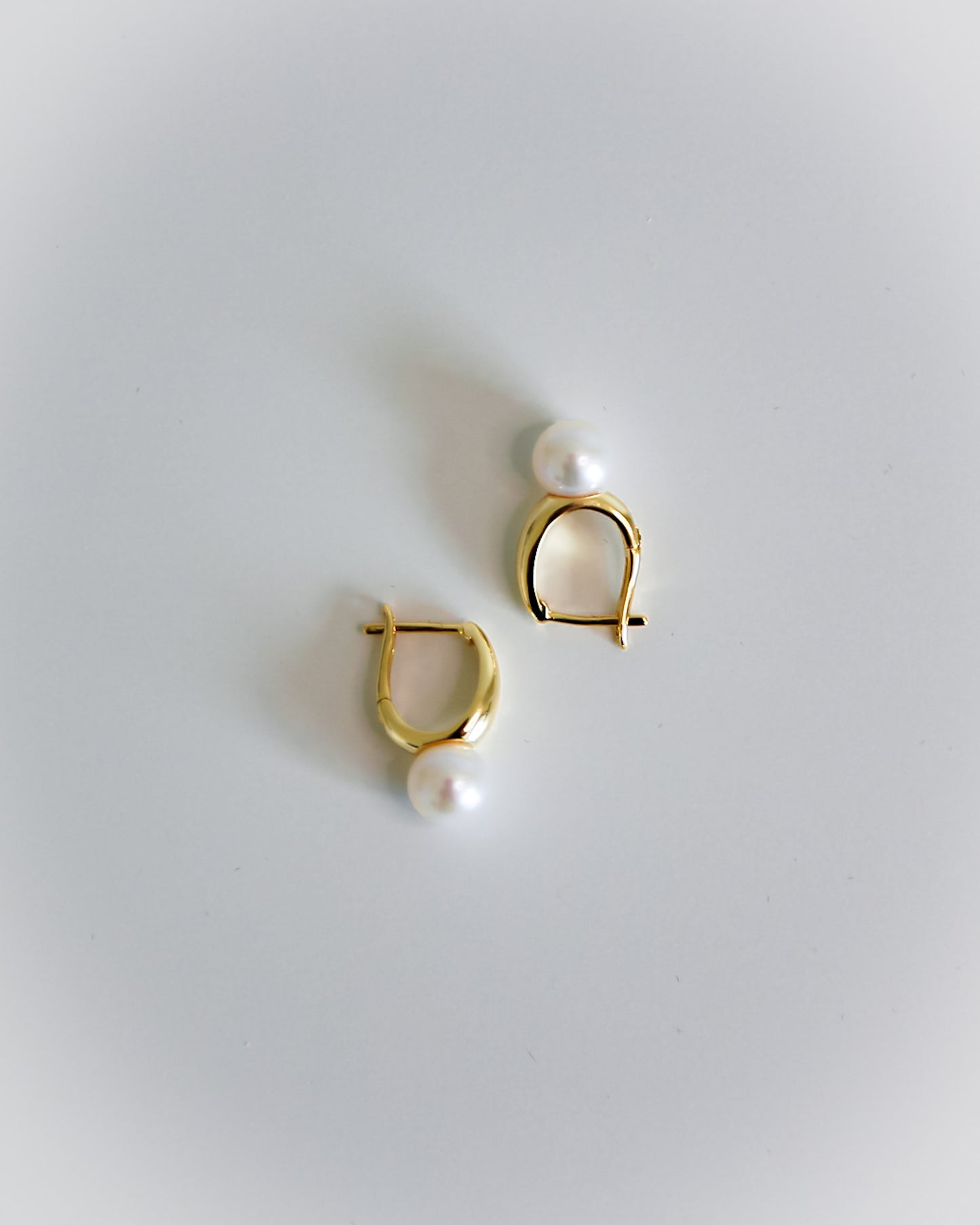 Moondust Silver / Gold Plating Earrings